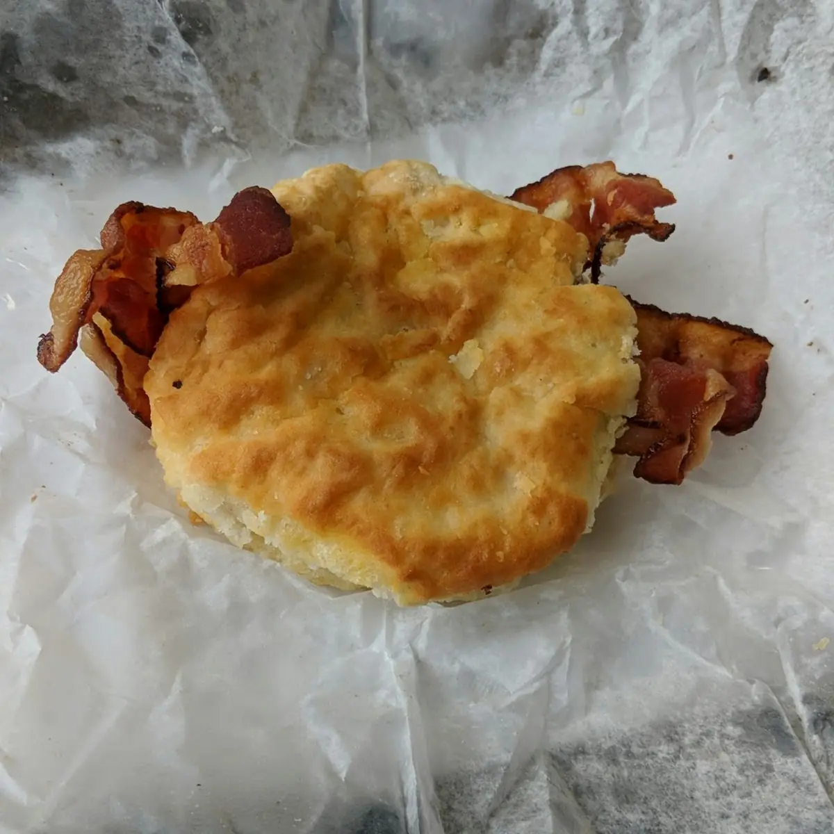 Bacon Biscuit