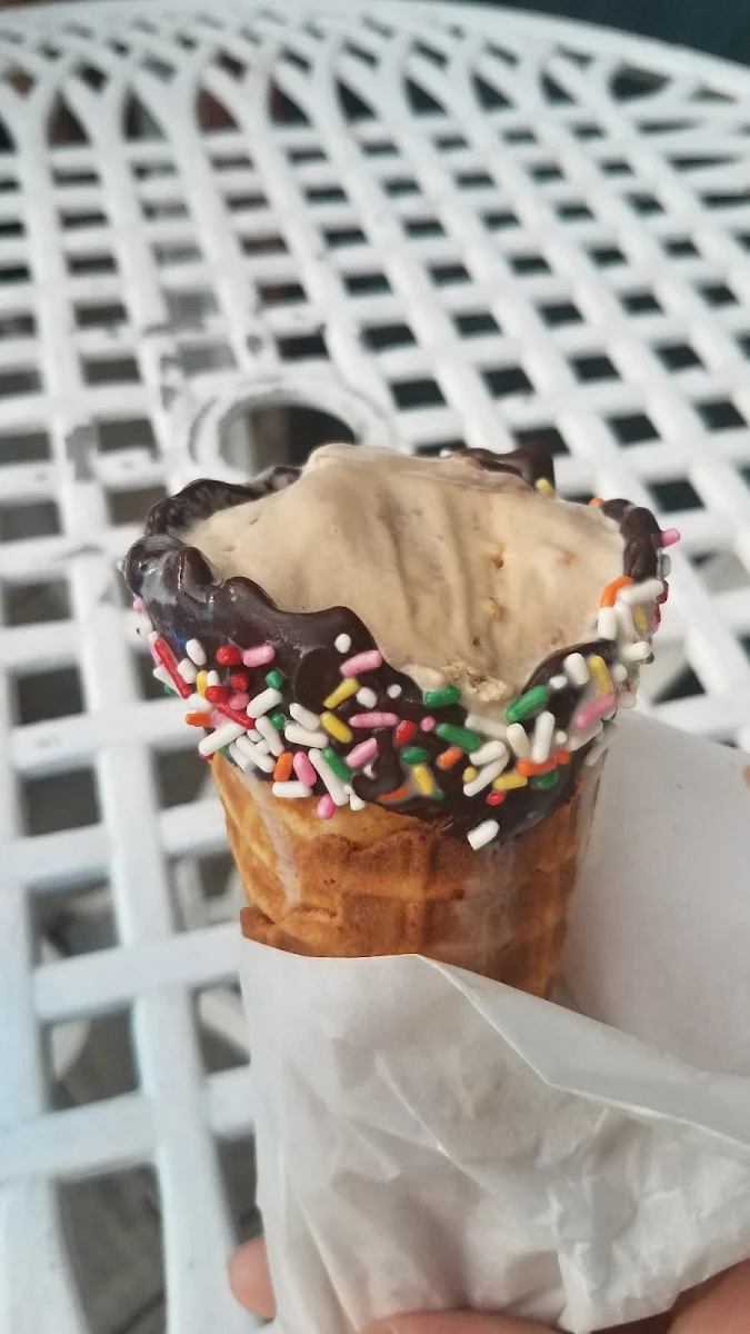Mocha Ice Cream Waffle Cone with Sprinkles