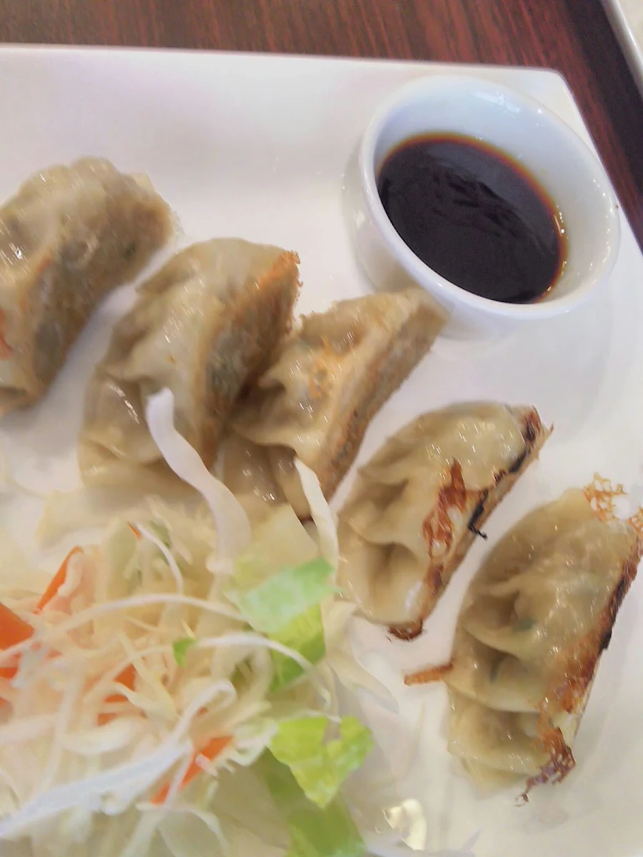 Gyoza, Koko Japanese Restaurant