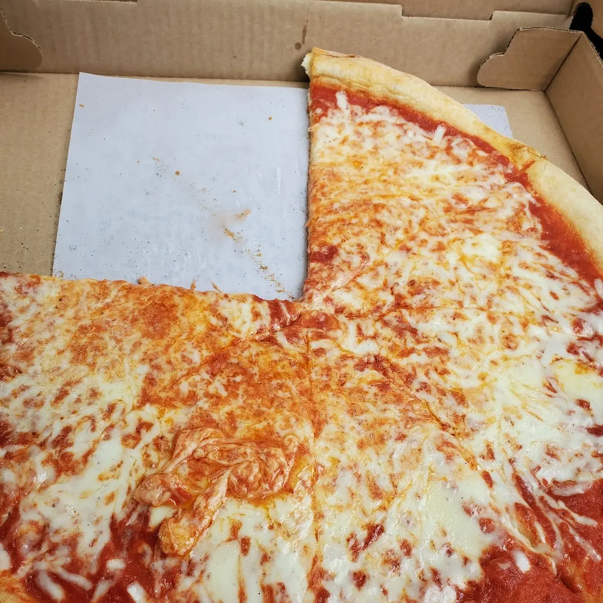 Plain Pizza