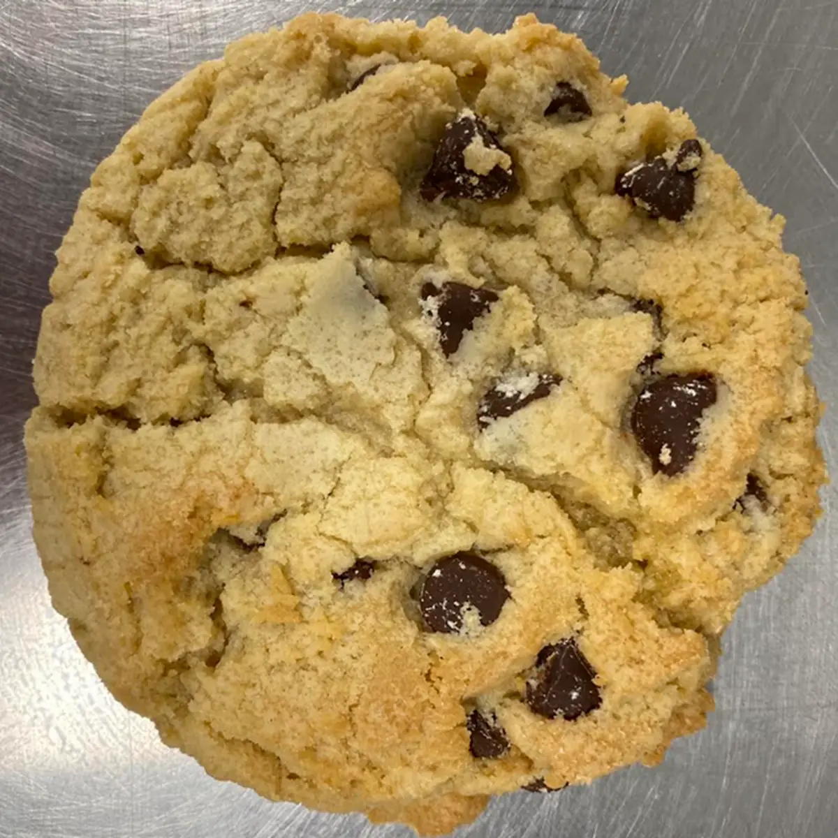 Chocolate Chip