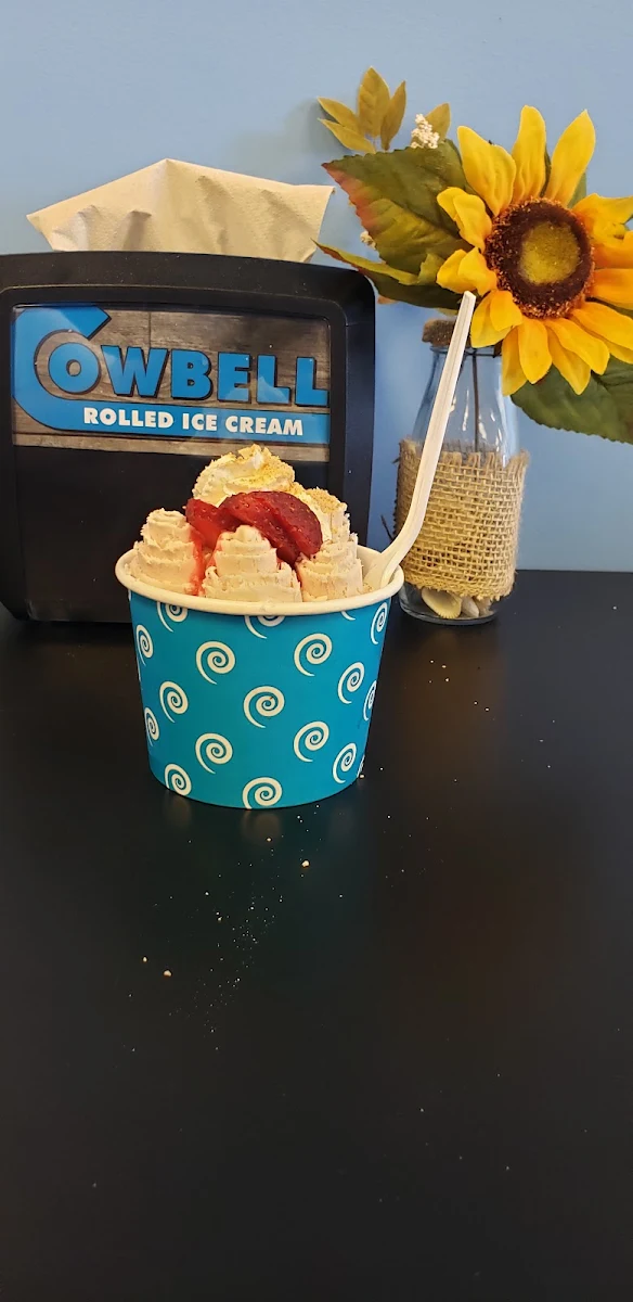 Frozen Yogurt