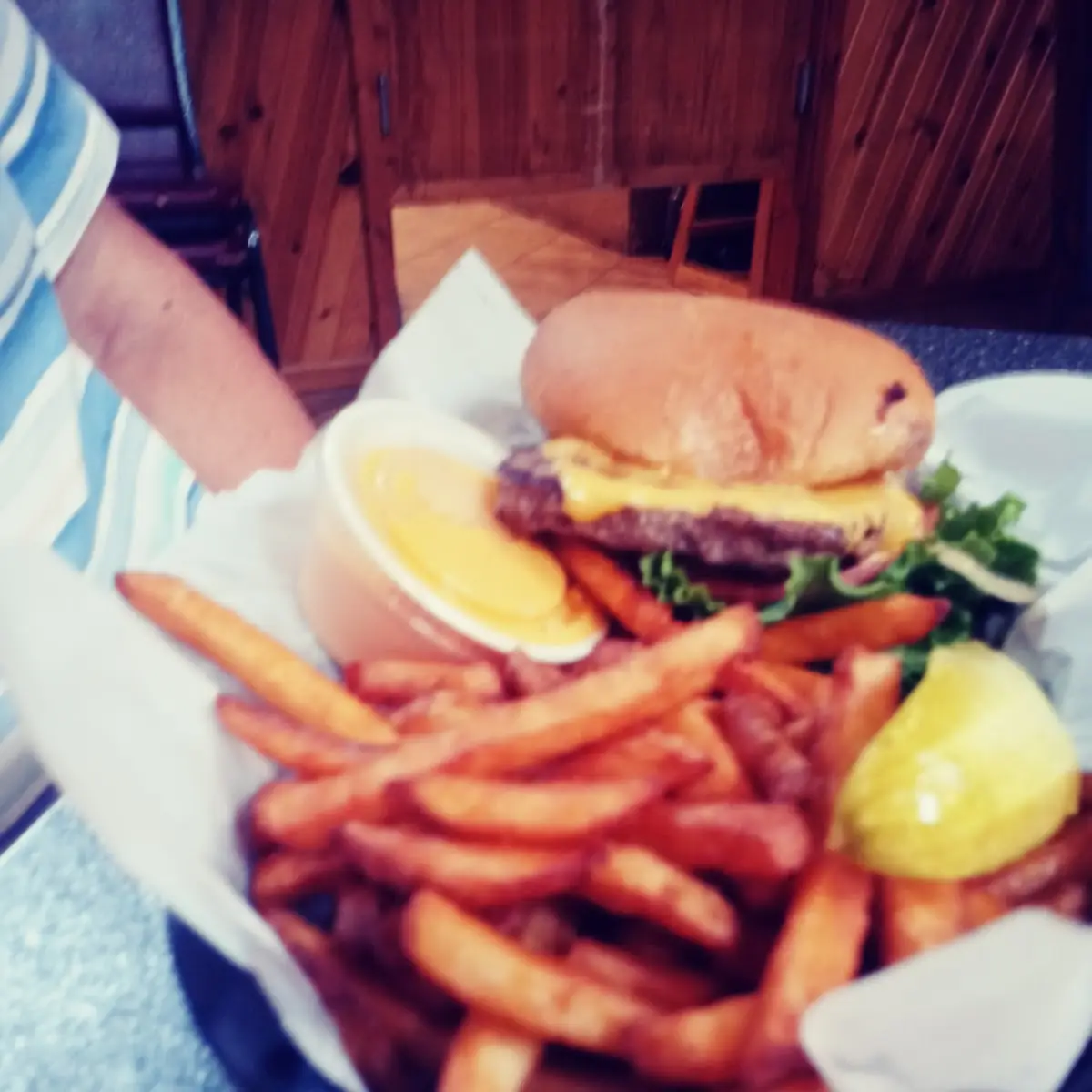 Cheese Burger & Fries