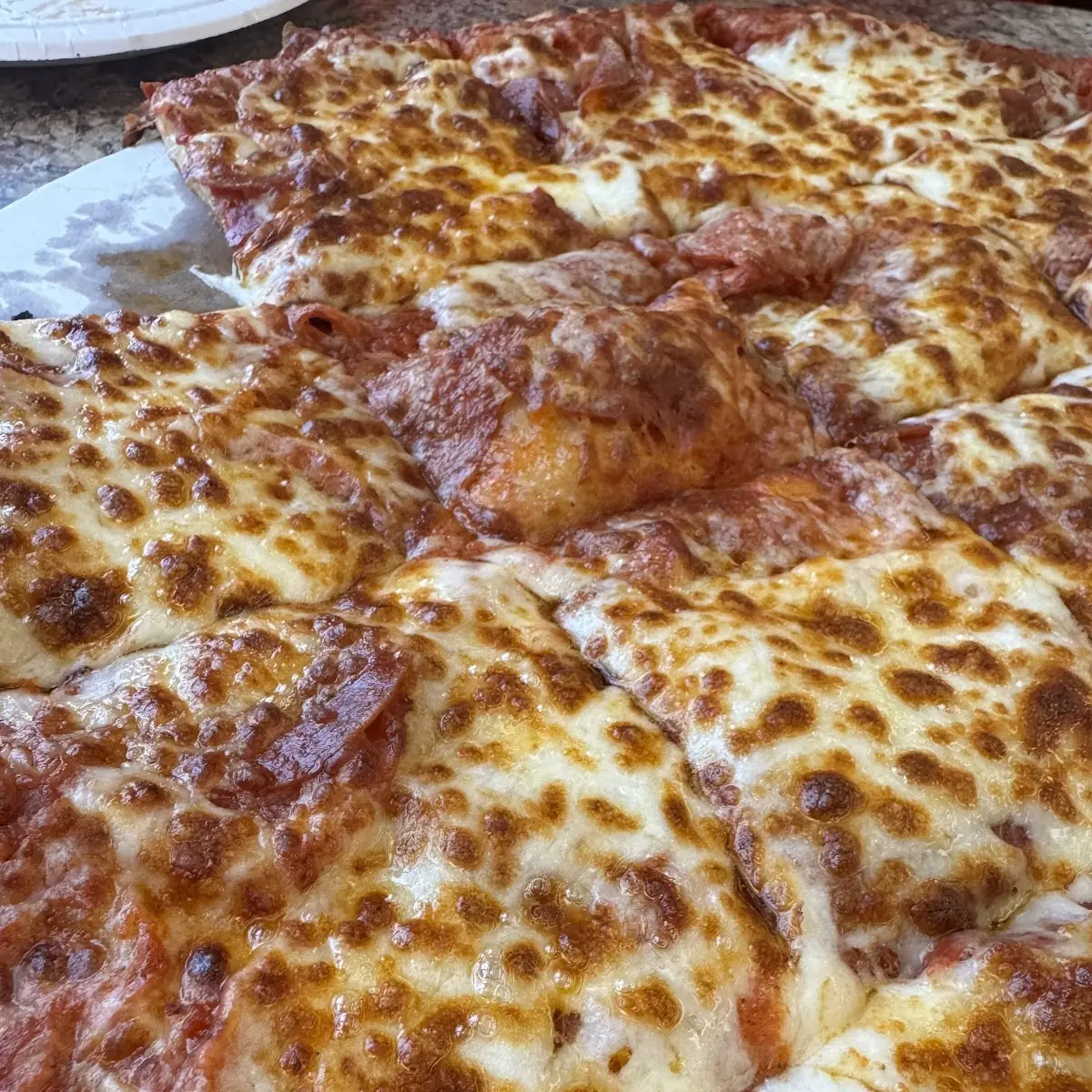 Cheese and Pepperoni Pizza