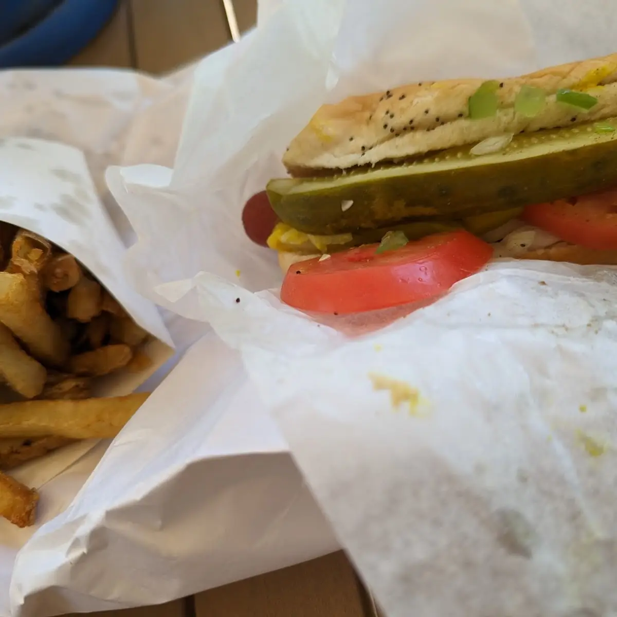 Chicago Dog and Fries