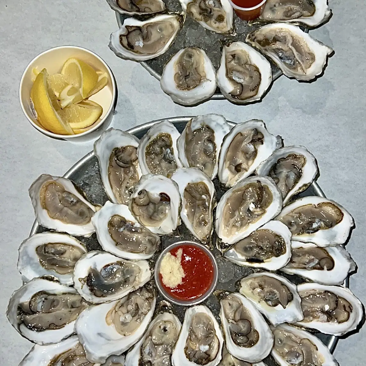 Oysters on the Half Shell