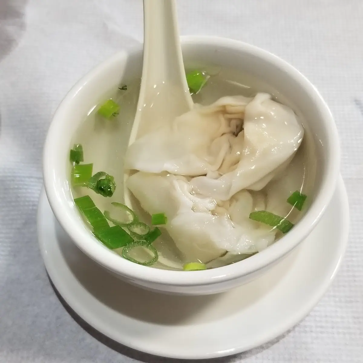 Wonton Soup