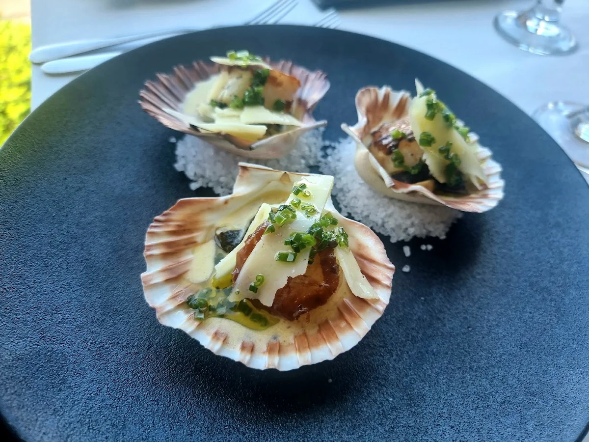 Tasmanian Scallops, Ocean Restaurant and Bar - Blue Bay
