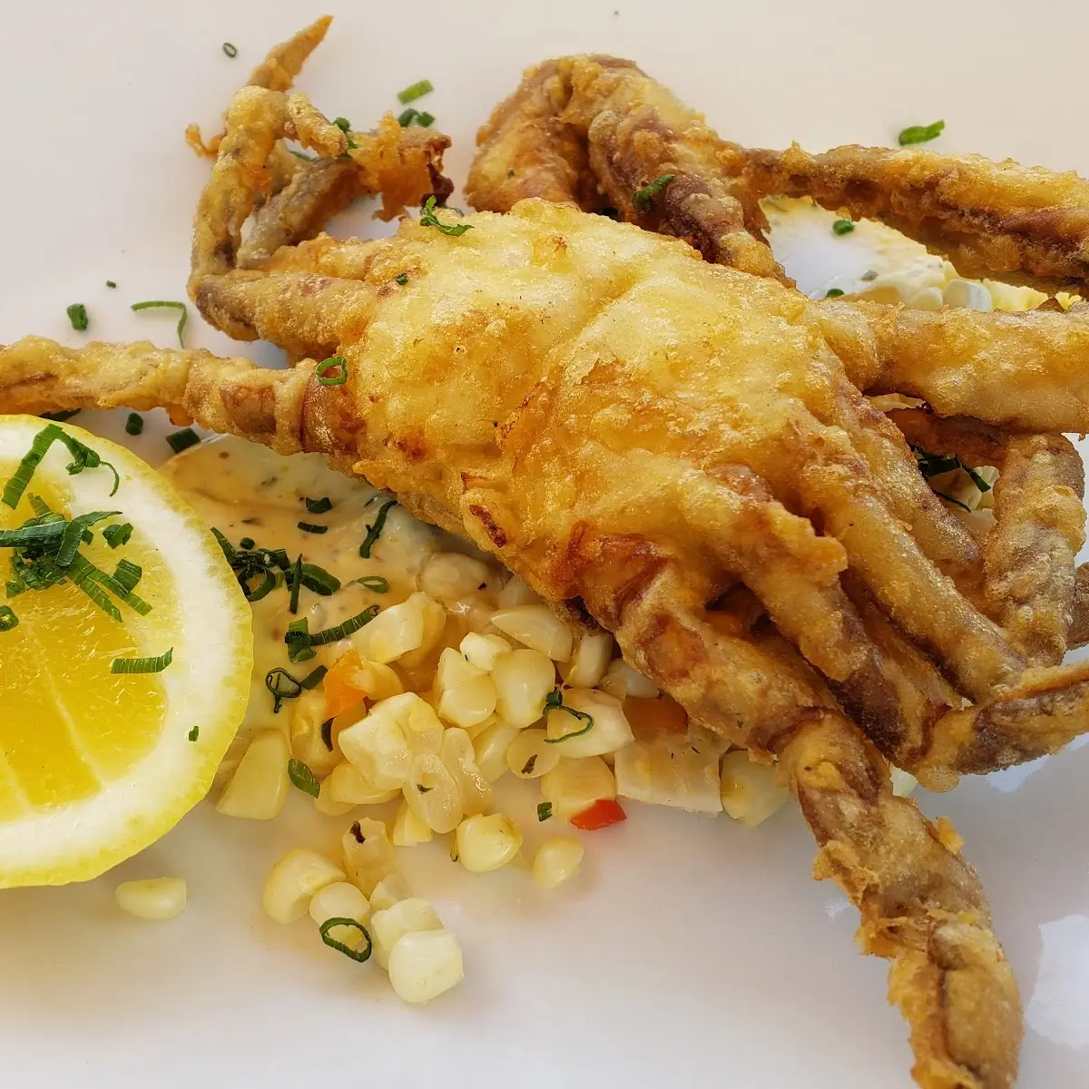 Soft Shell Crab