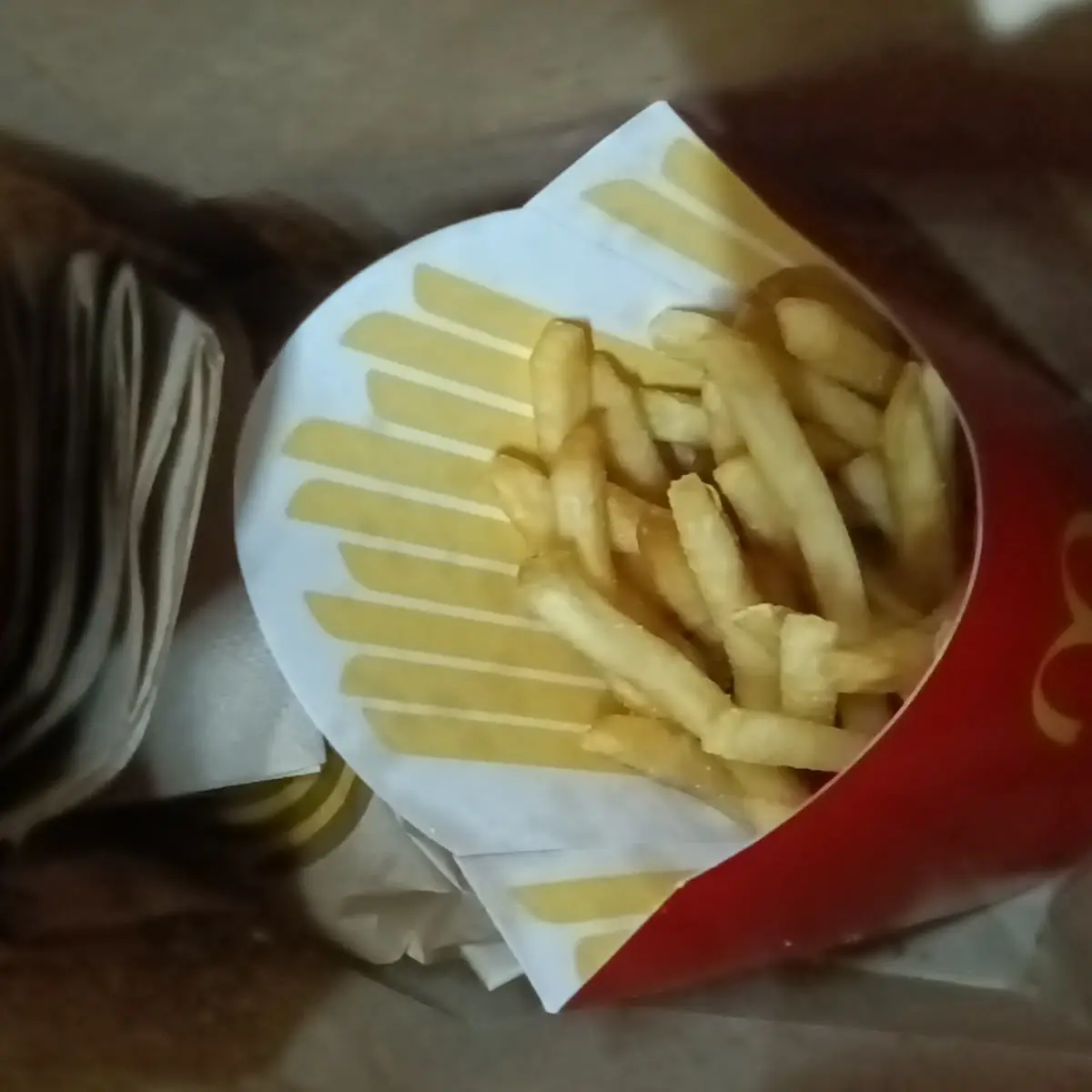 Triple Cheeseburger and Fries