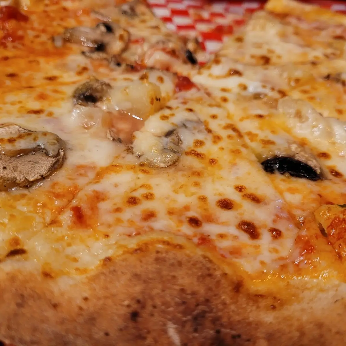 Mushroom Pizza