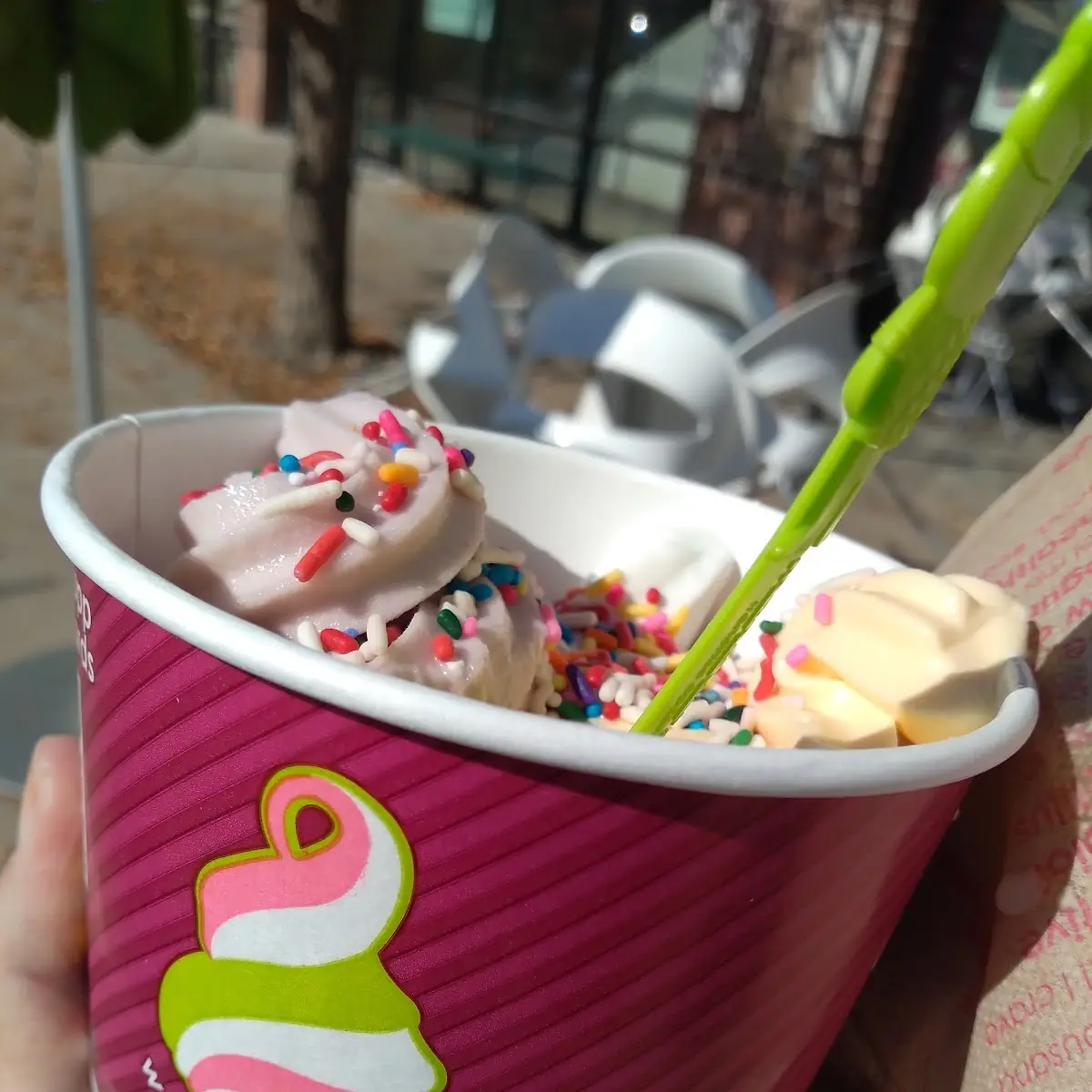 Frozen Yogurt
