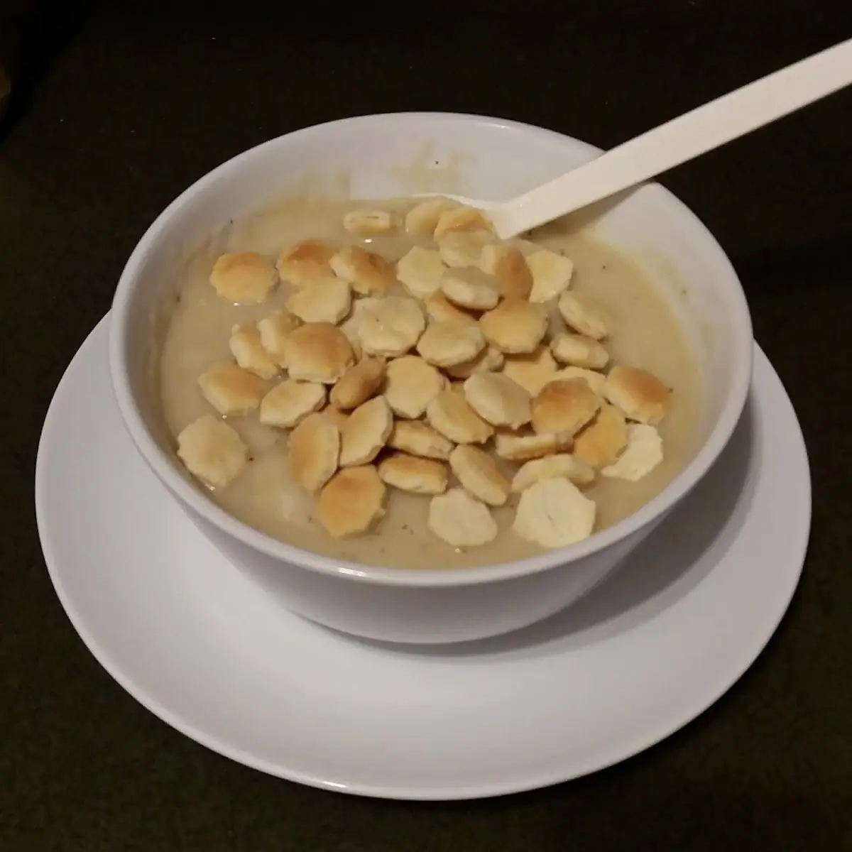 Creamy Cheese and Onion Soup