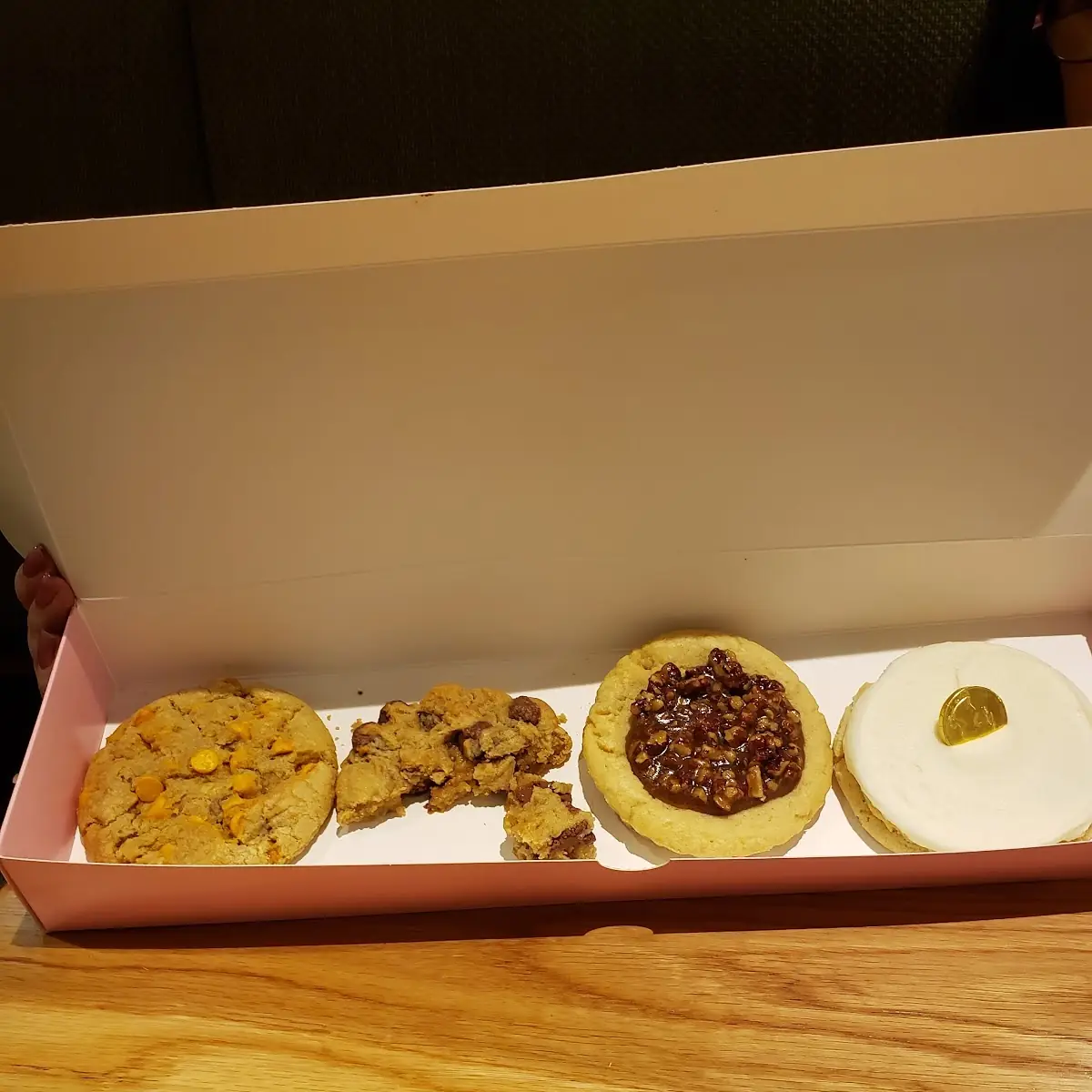 Butter Scotch Chocolate Chip Turtle and Sugar Cookie