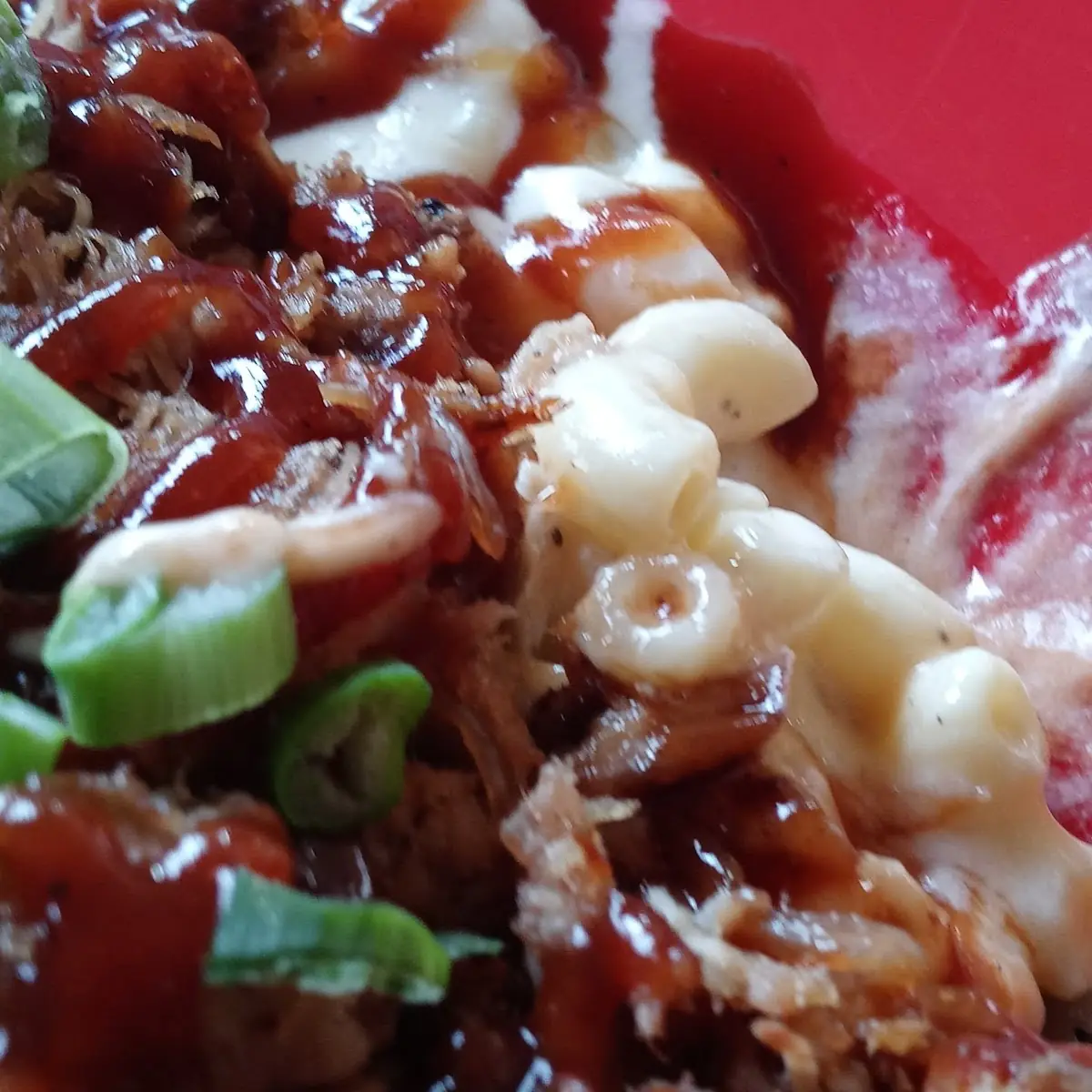 Pulled Pork on Top of Mac N Cheese