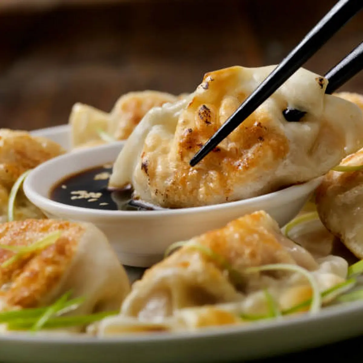 Fried or Steamed Dumplings