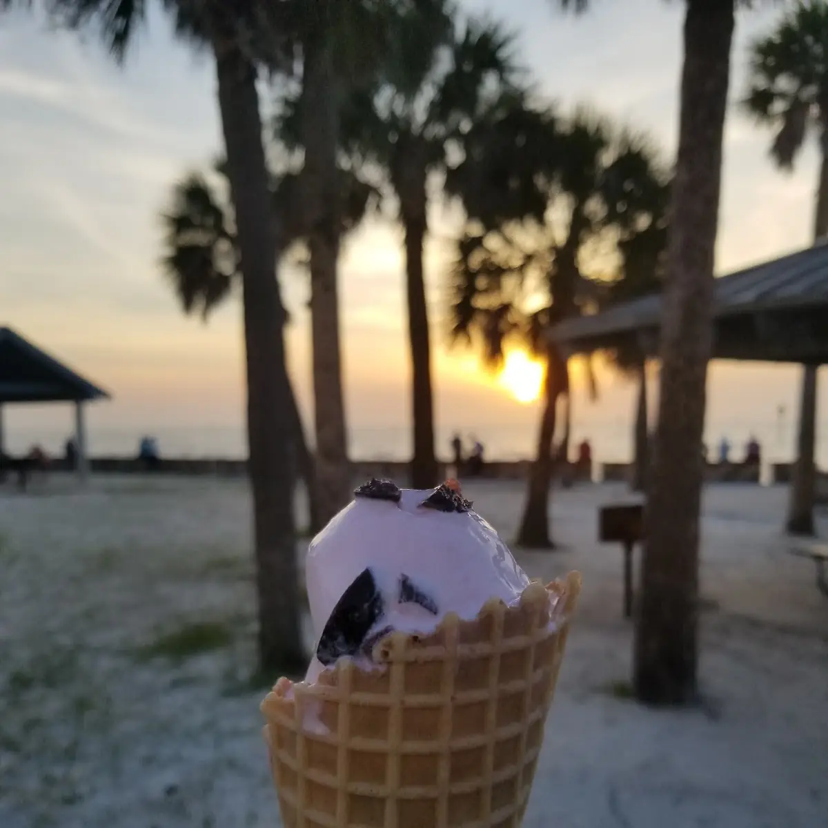 Black Cherry with Waffle Cone