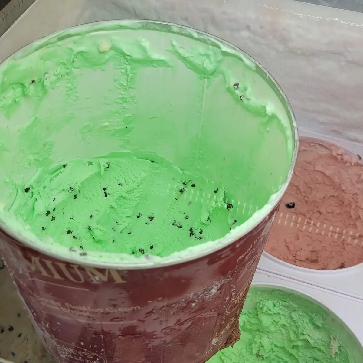Mint Chocolate Chip