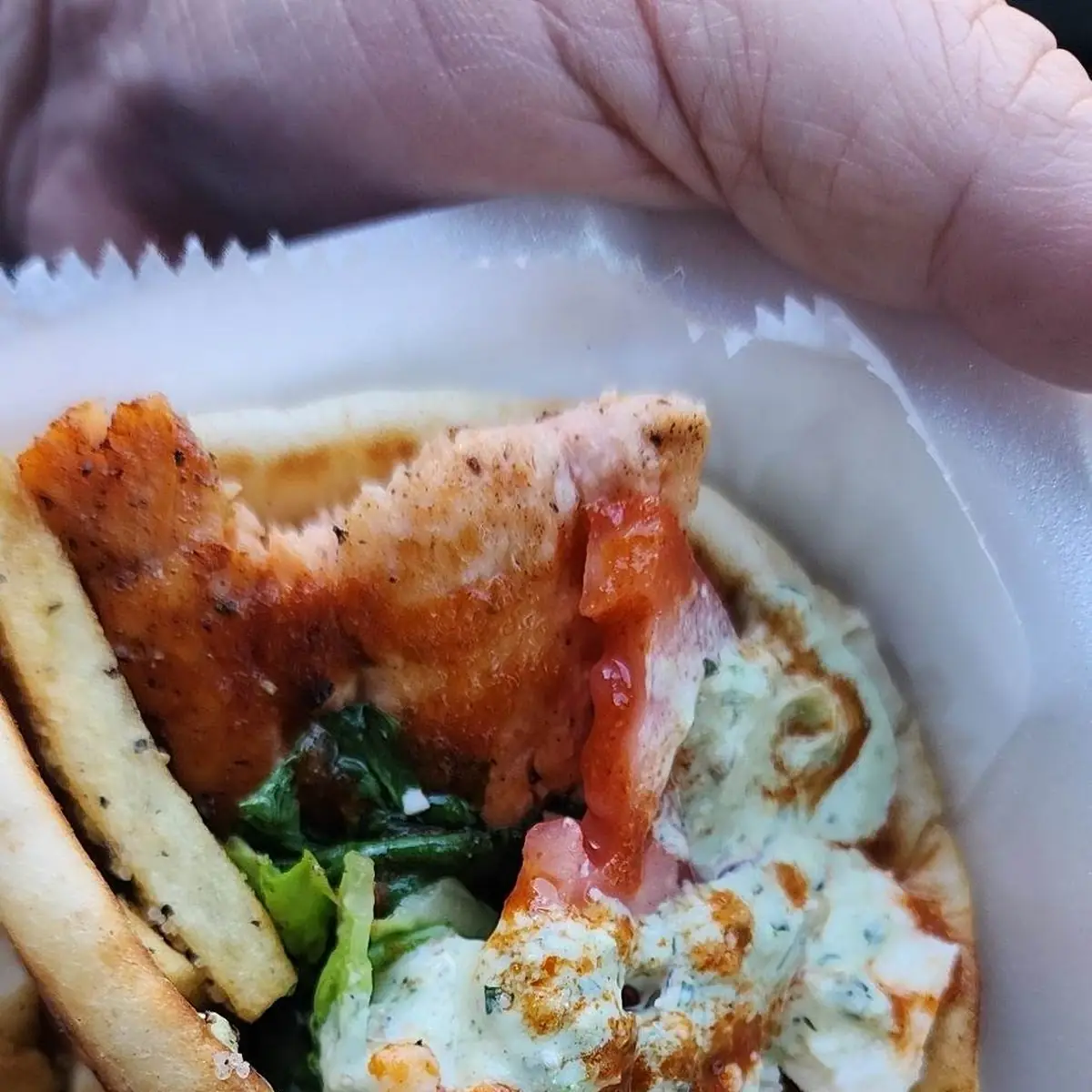 Chicken Pita Ul Fries