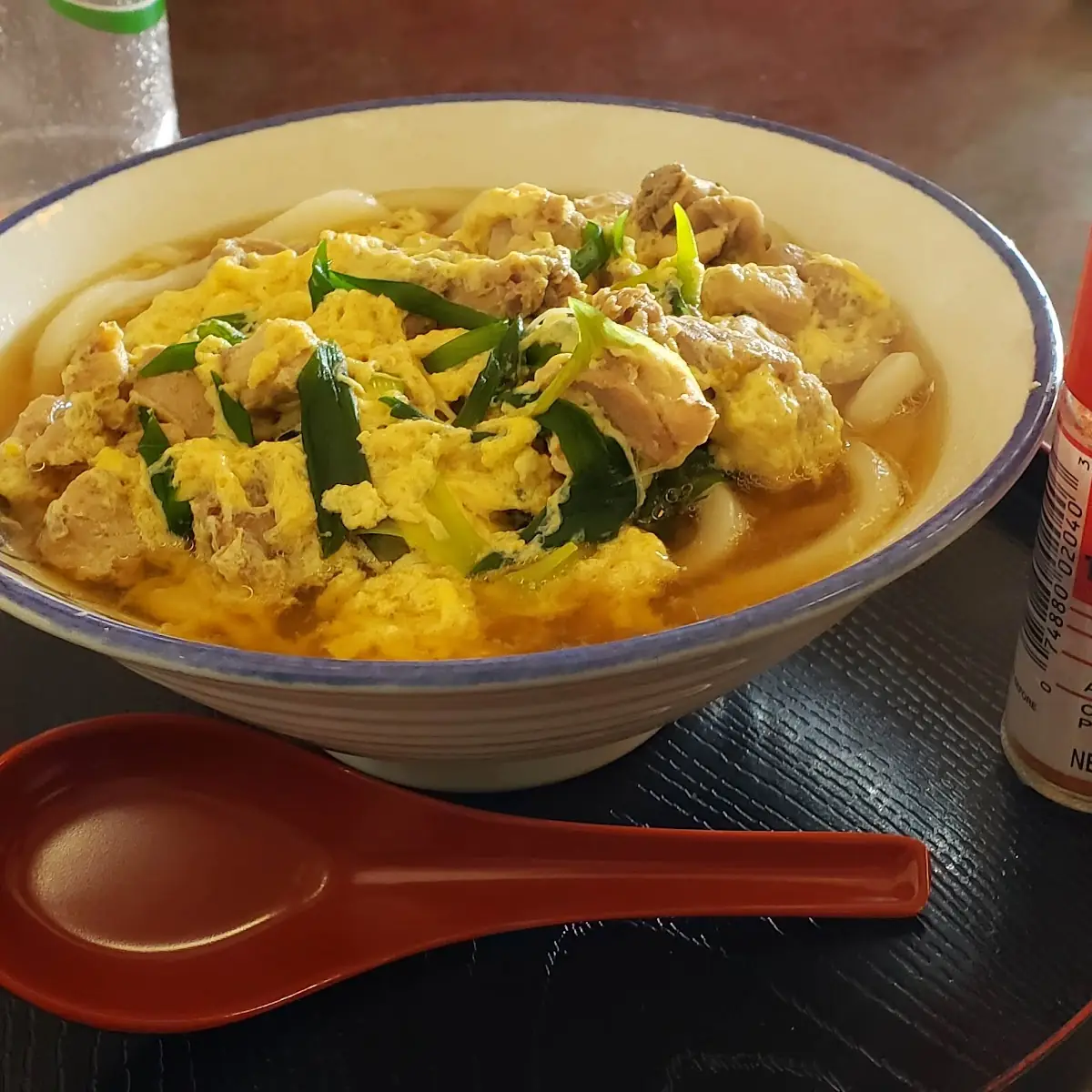Donburi Udon Noodle Soup