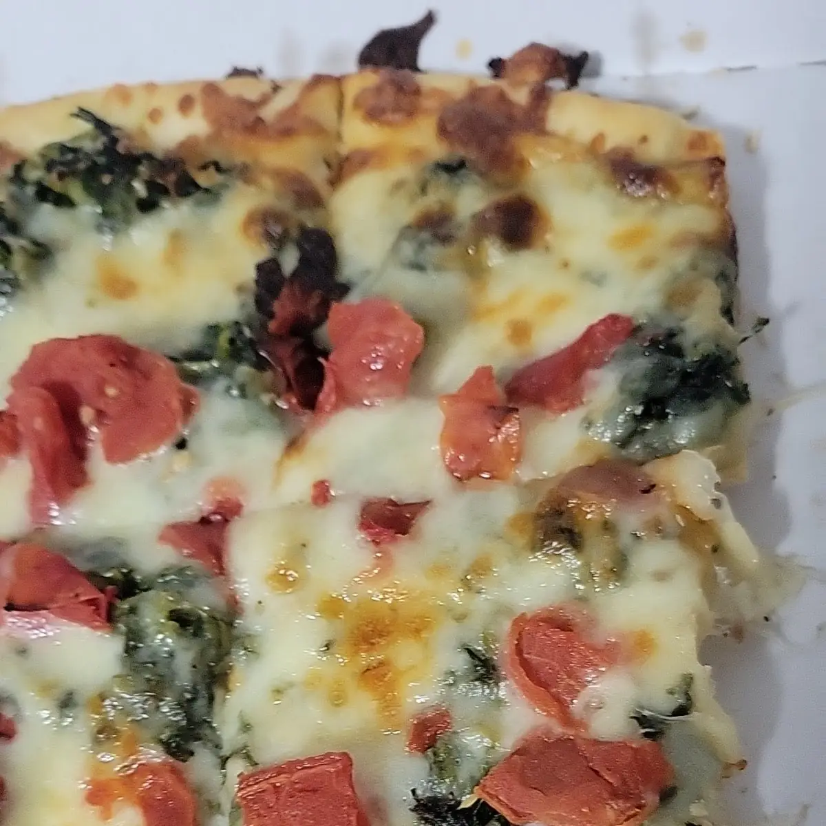 Madeterain Pizza