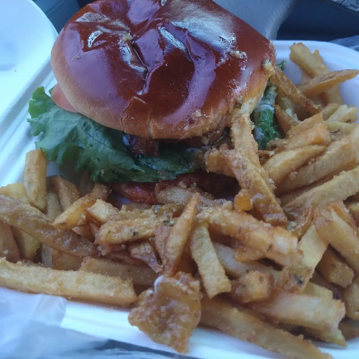 Spicy Chicken Garlic Fries