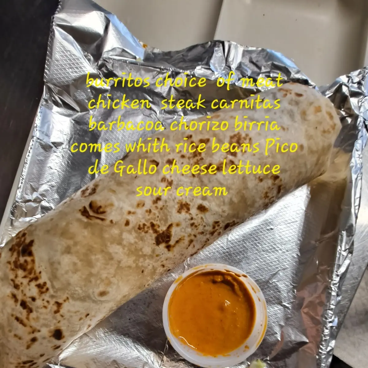 Quesadilla with Meat