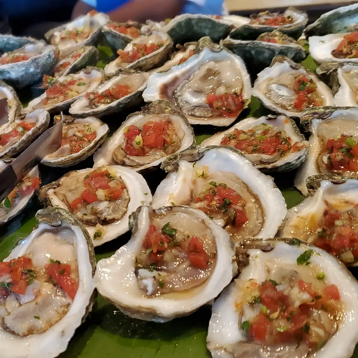 Fresh Oysters