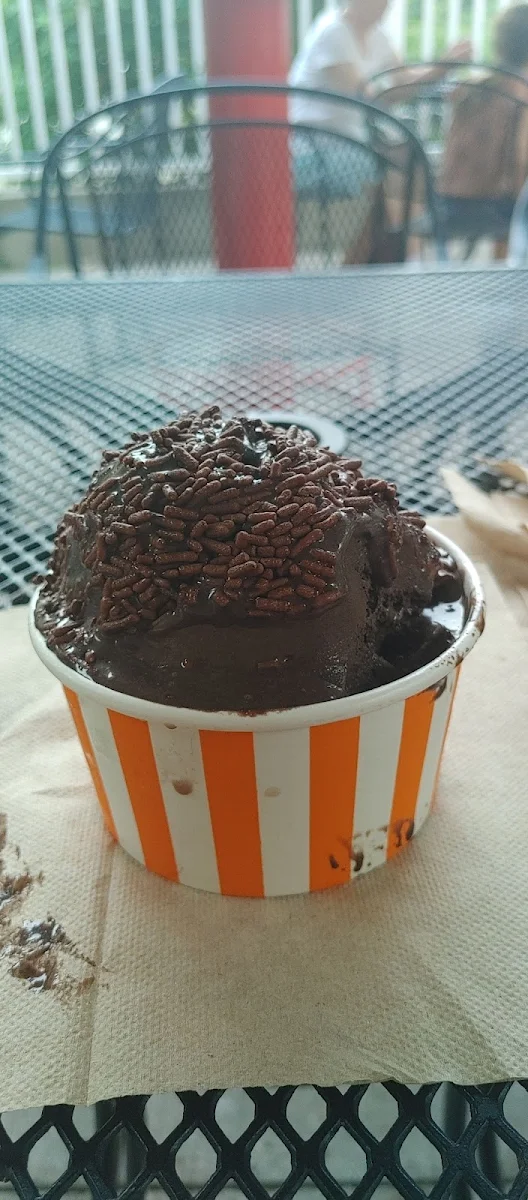 White Lightning- Dark Chocolate with a Mint Swirl