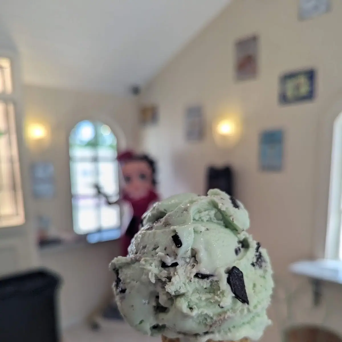 Mint Chocolate Chip Ice Cream Cone