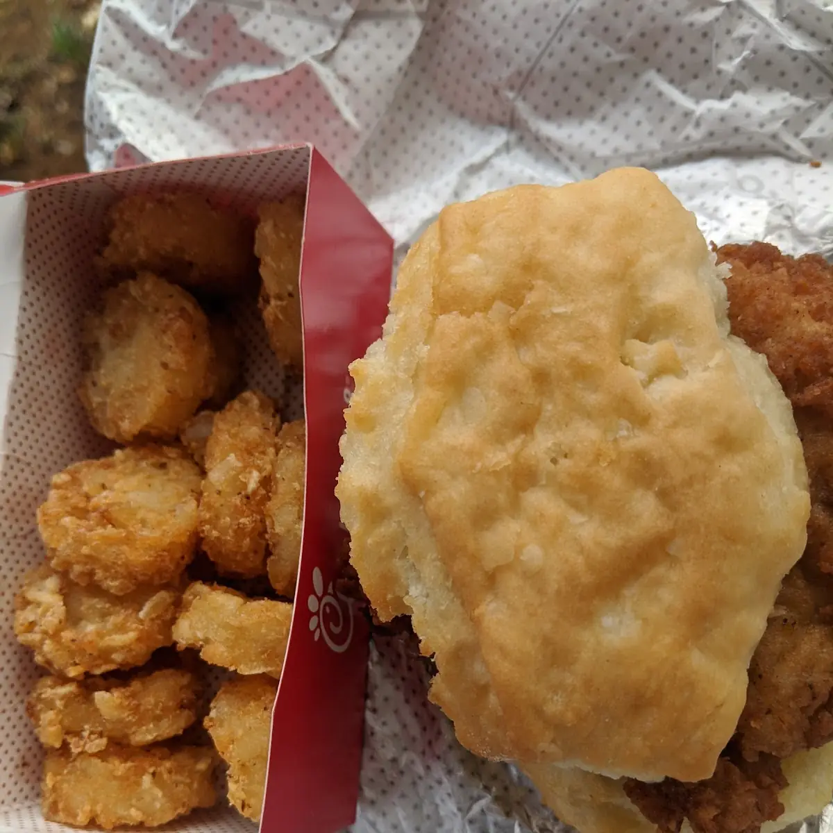 Chicken Biscuit
