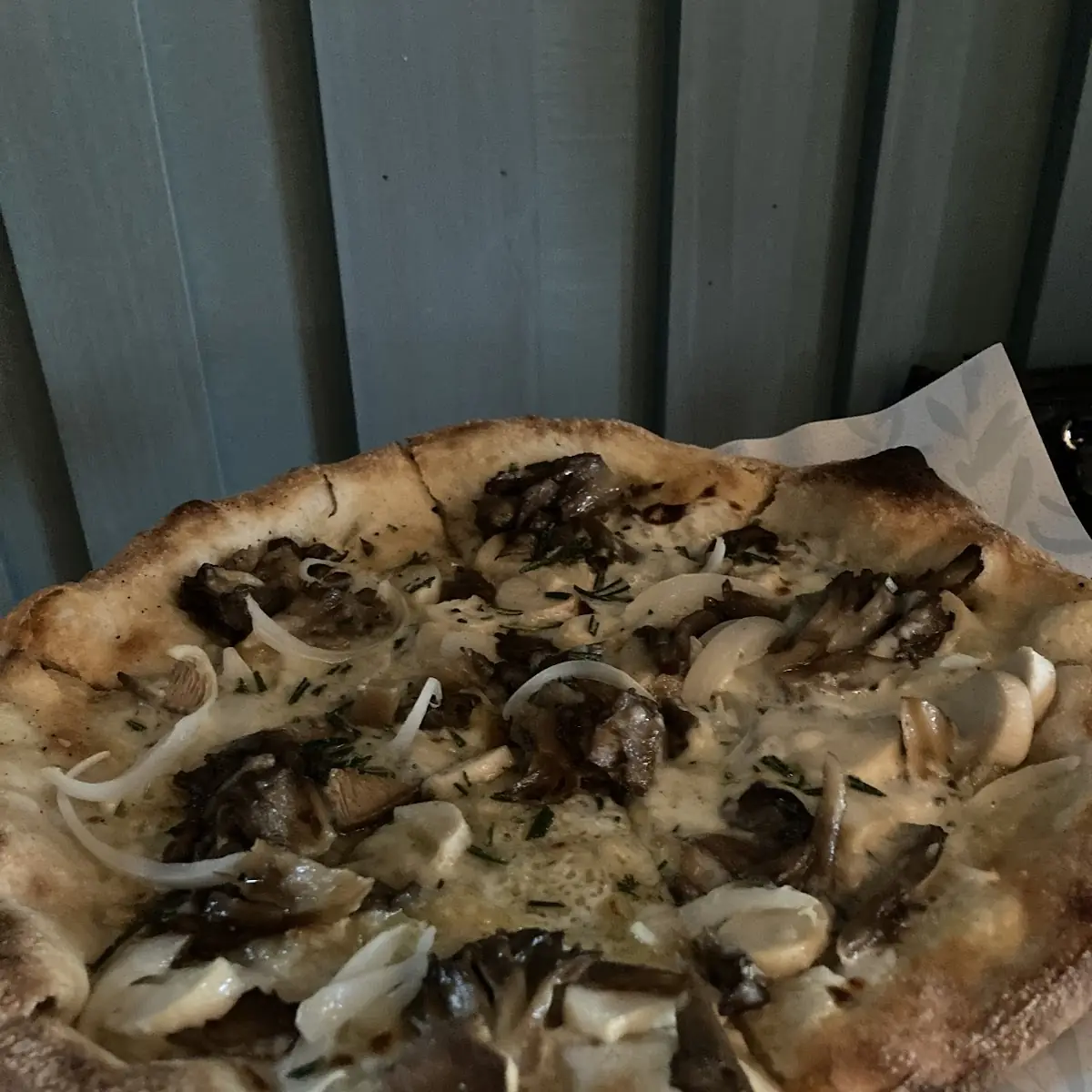 Mushroom Pizza