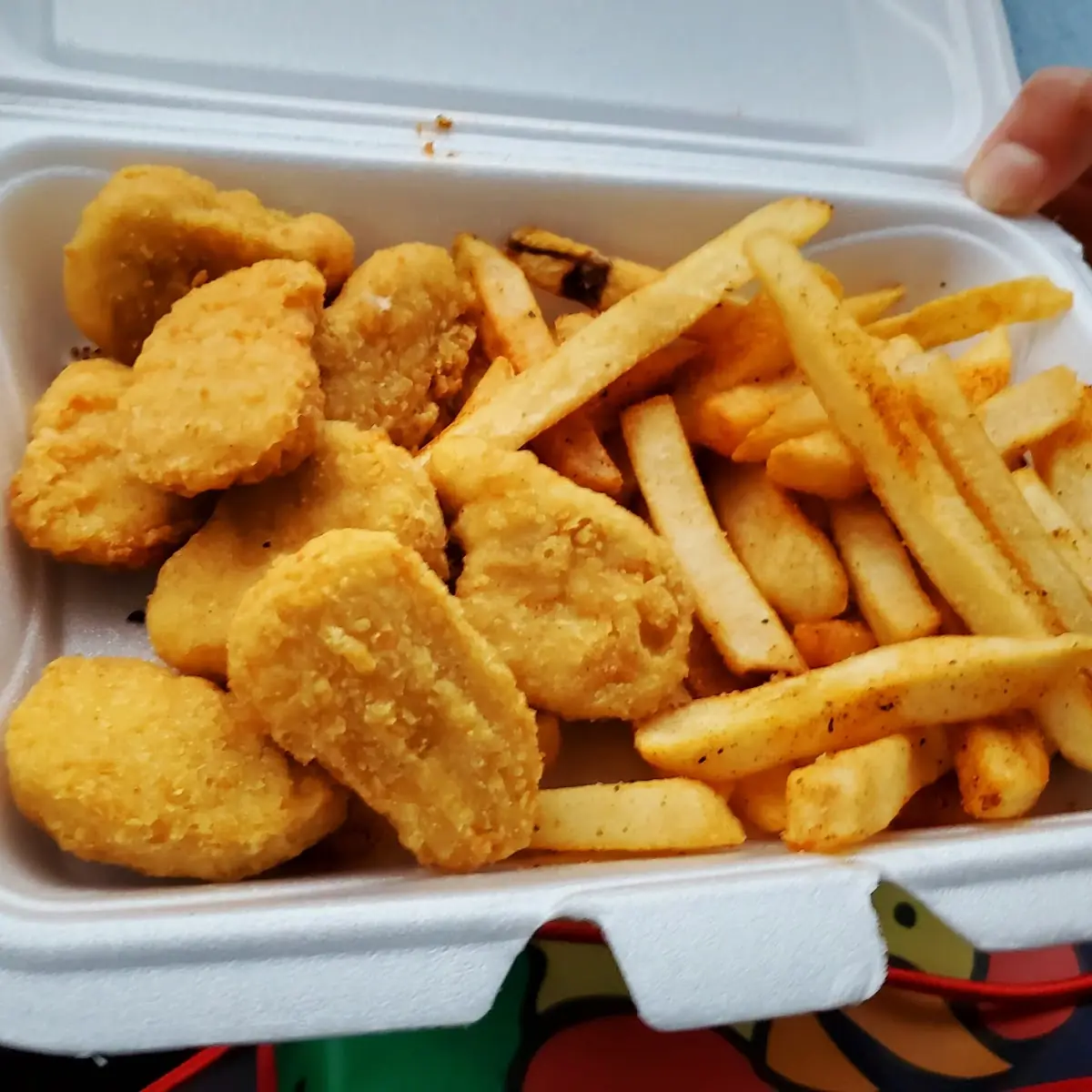 Pieces Chicken Nuggets with Fries