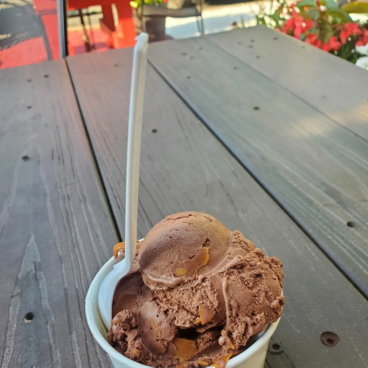 Chocolate Peanut Butter Ice Cream
