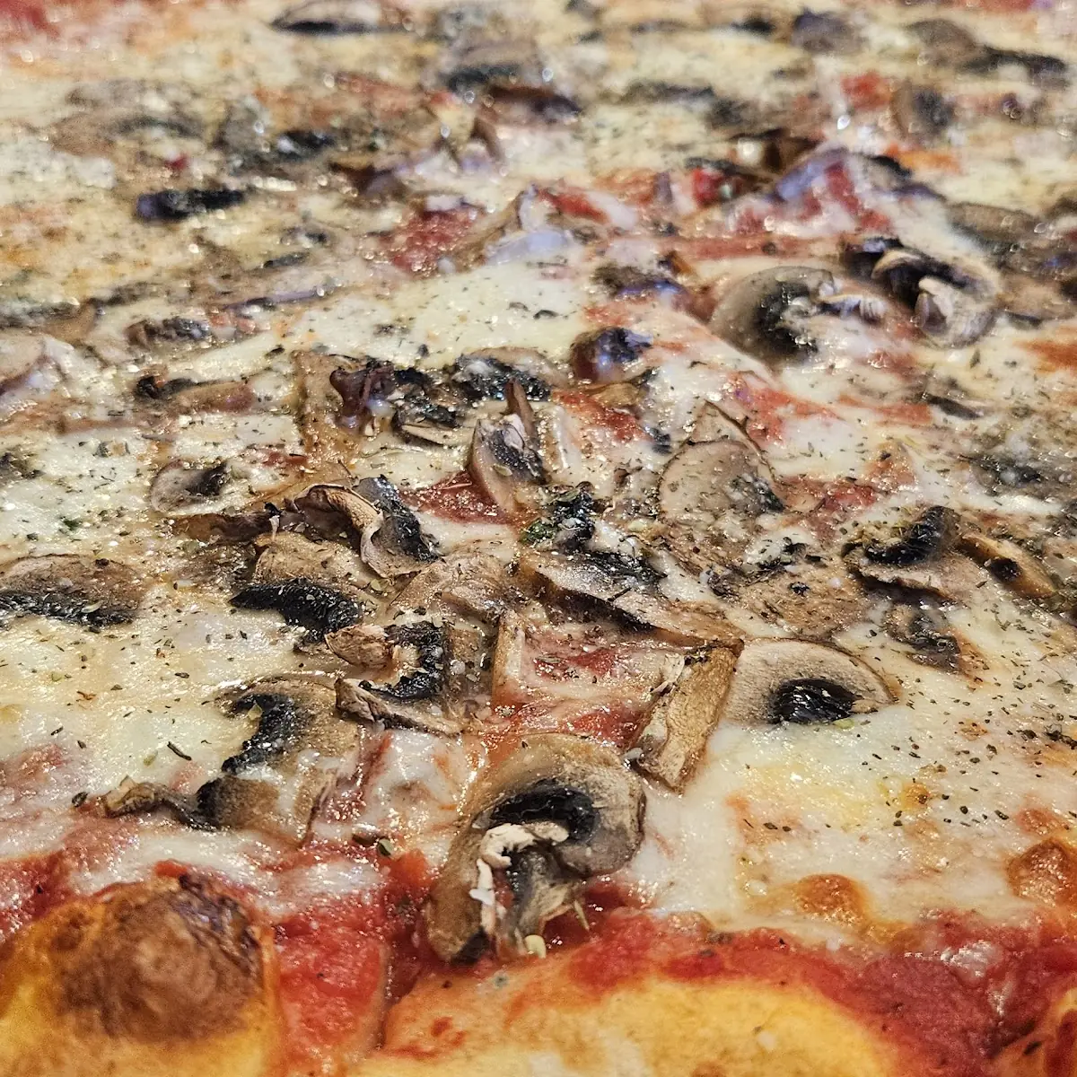 Mushroom Pizza
