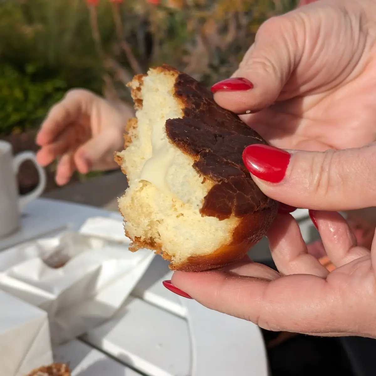 Bavarian Cream Donut