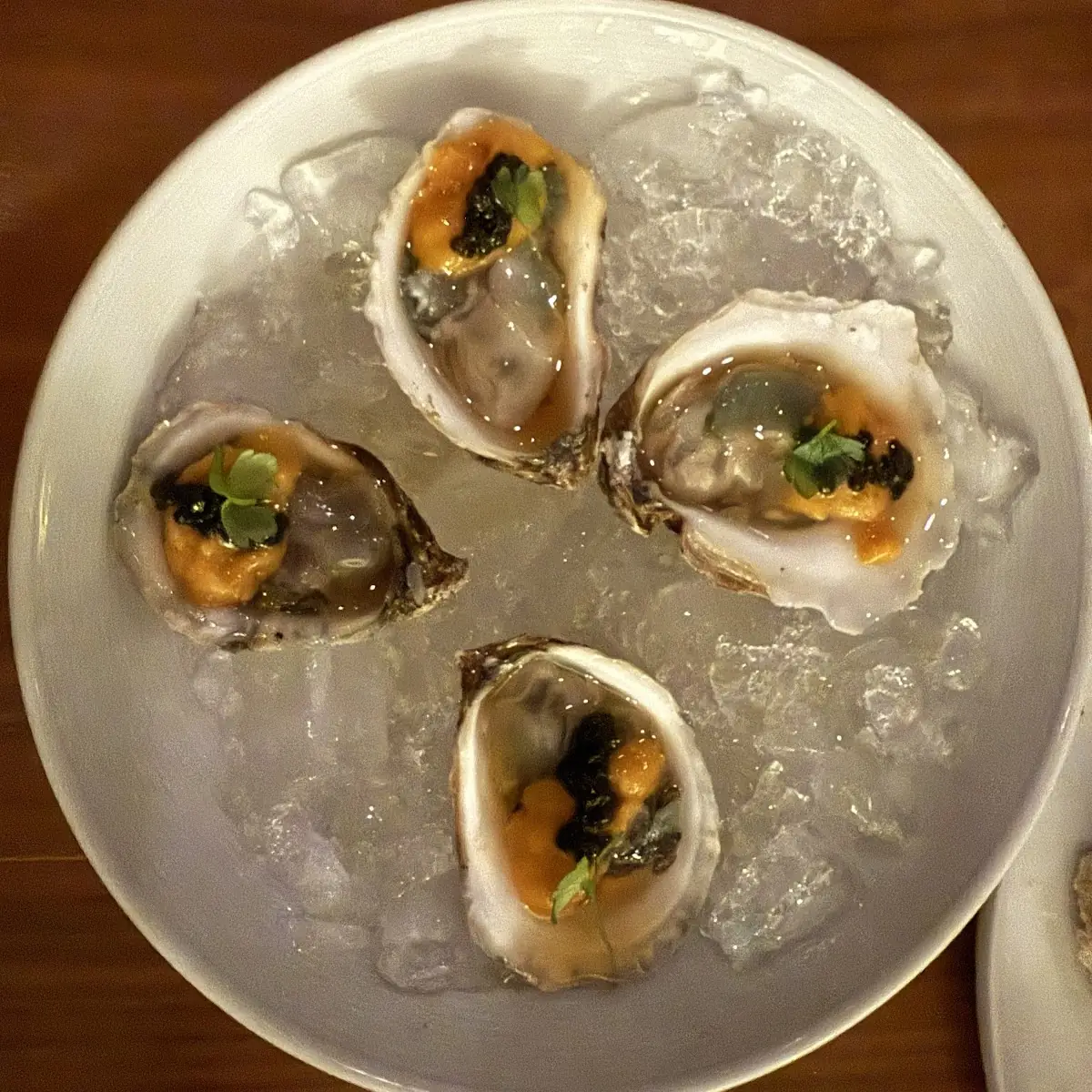 W&C Oysters on the Half Shell