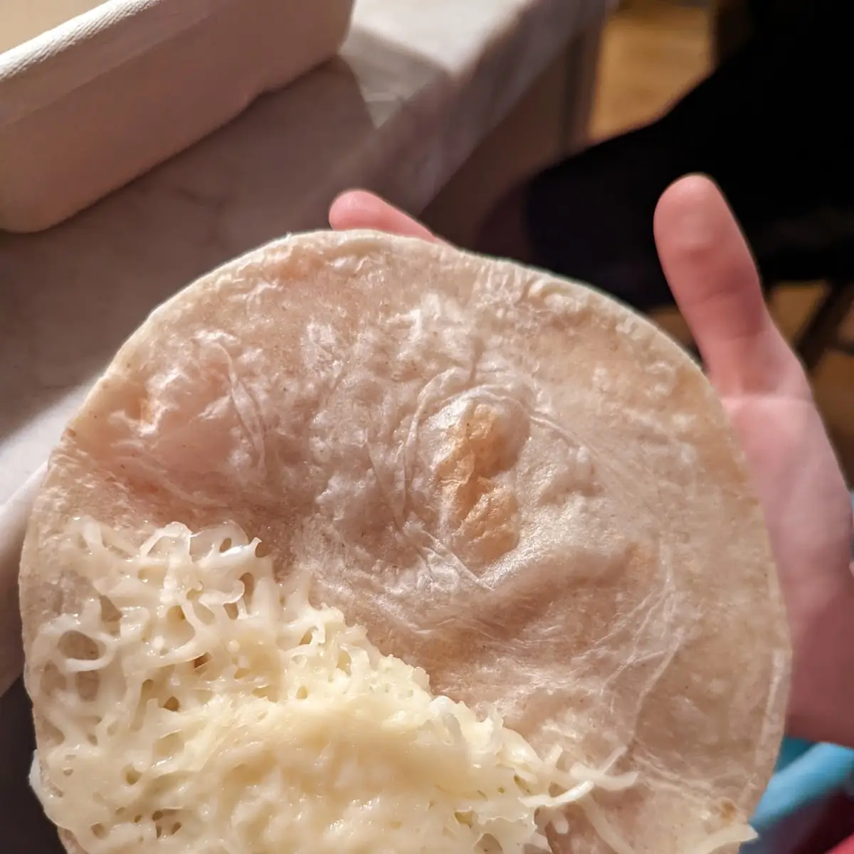 Cheese Quesadilla
