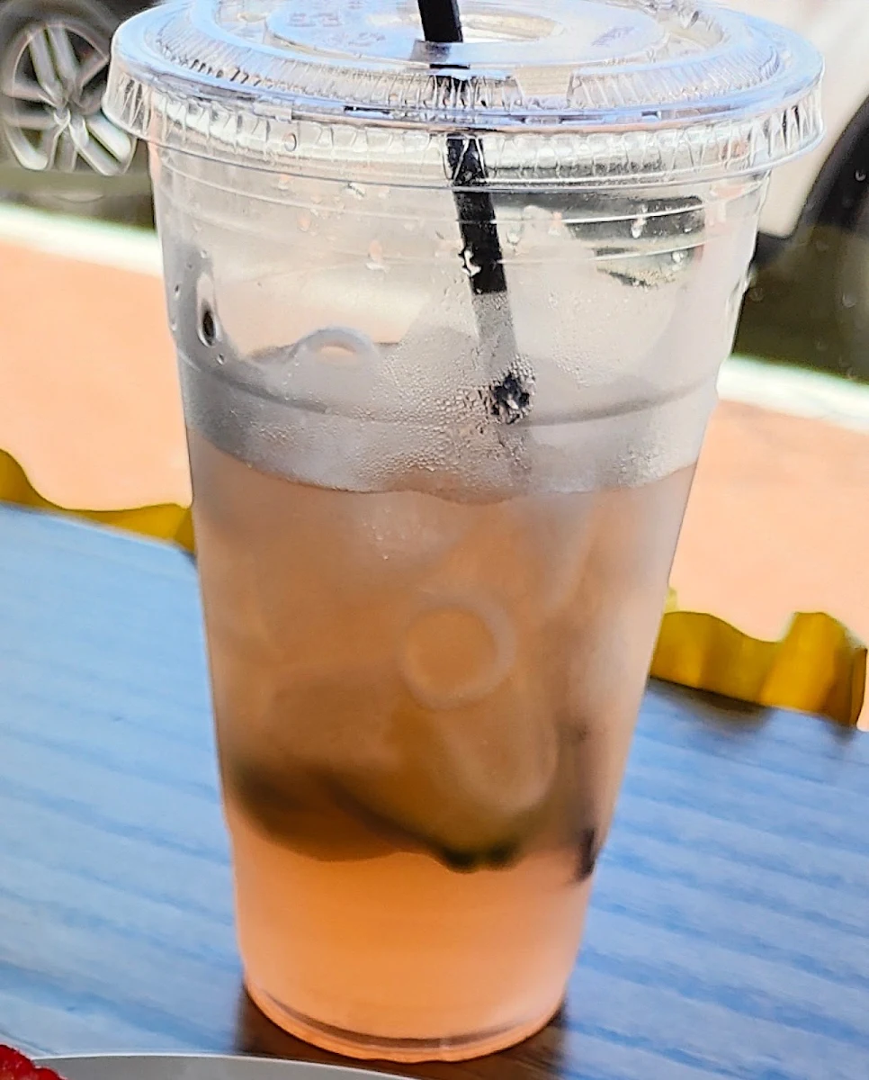 Unsweetened Iced Tea