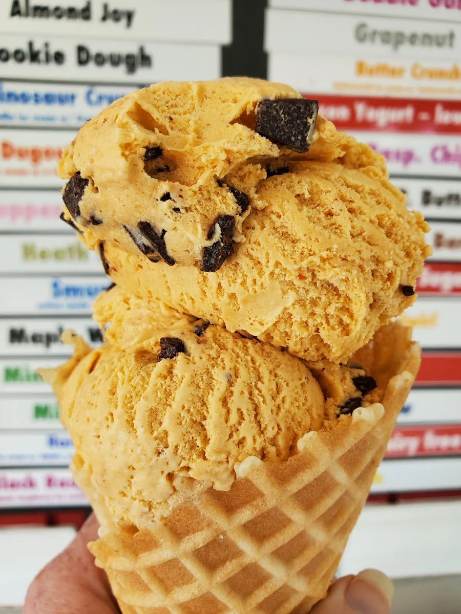 Pumpkin Chocolate Chip