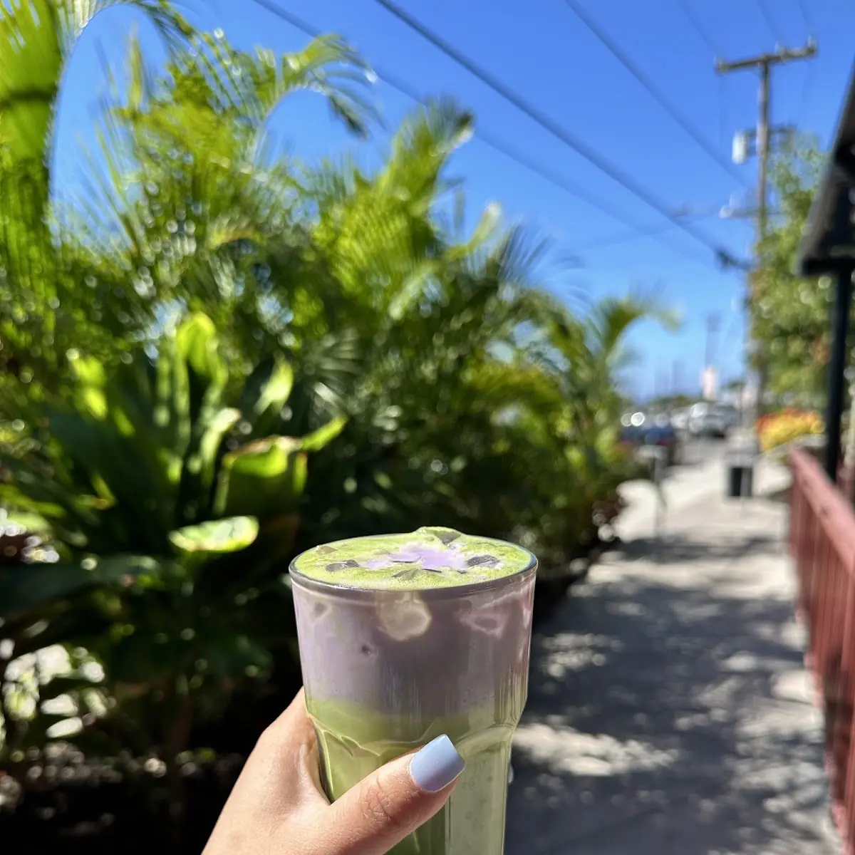 Ube Matcha Latte