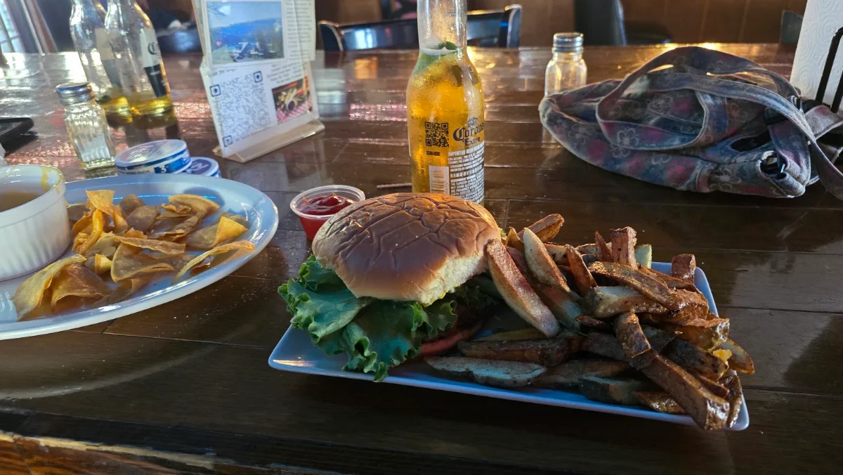 Cheeseburger and Fries