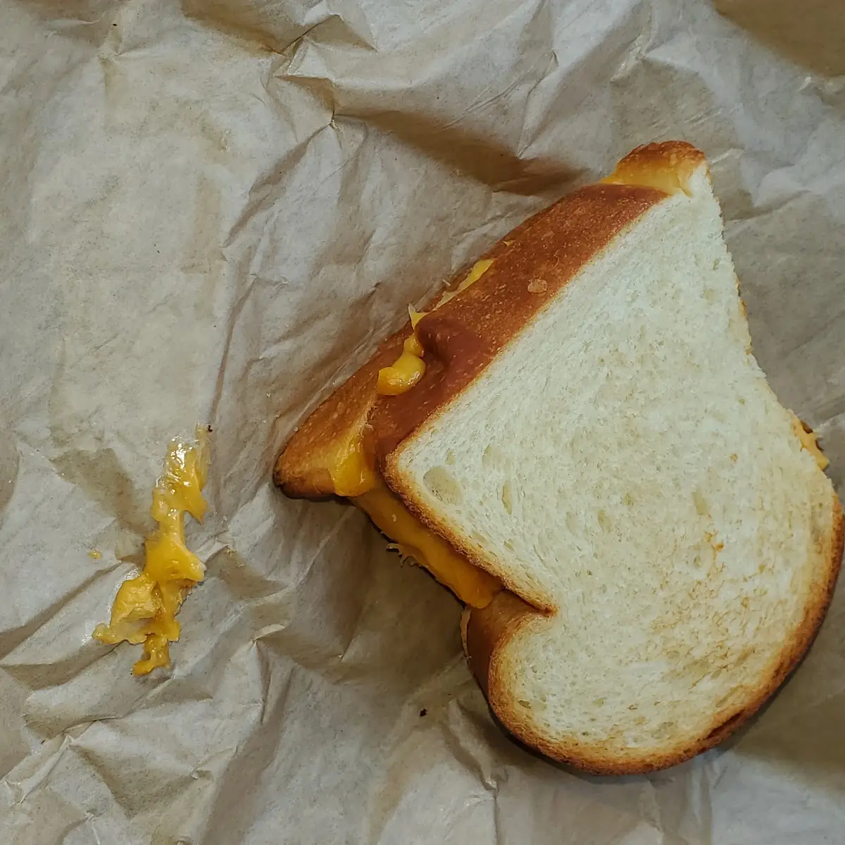 Grilled Cheese Sandwich
