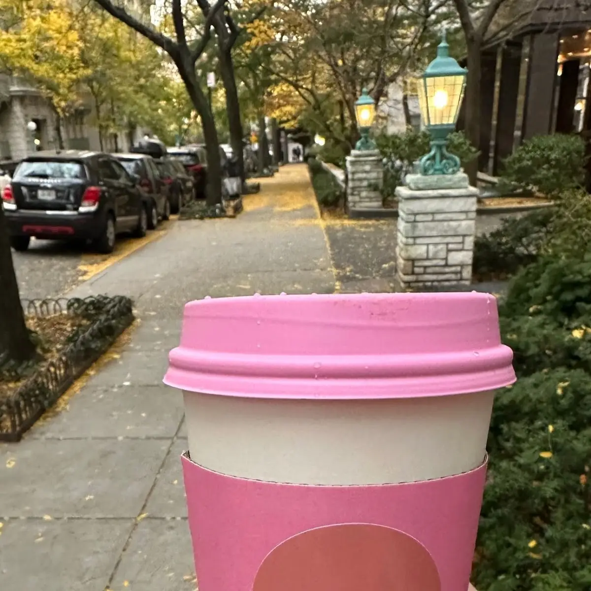 Cotton Candy