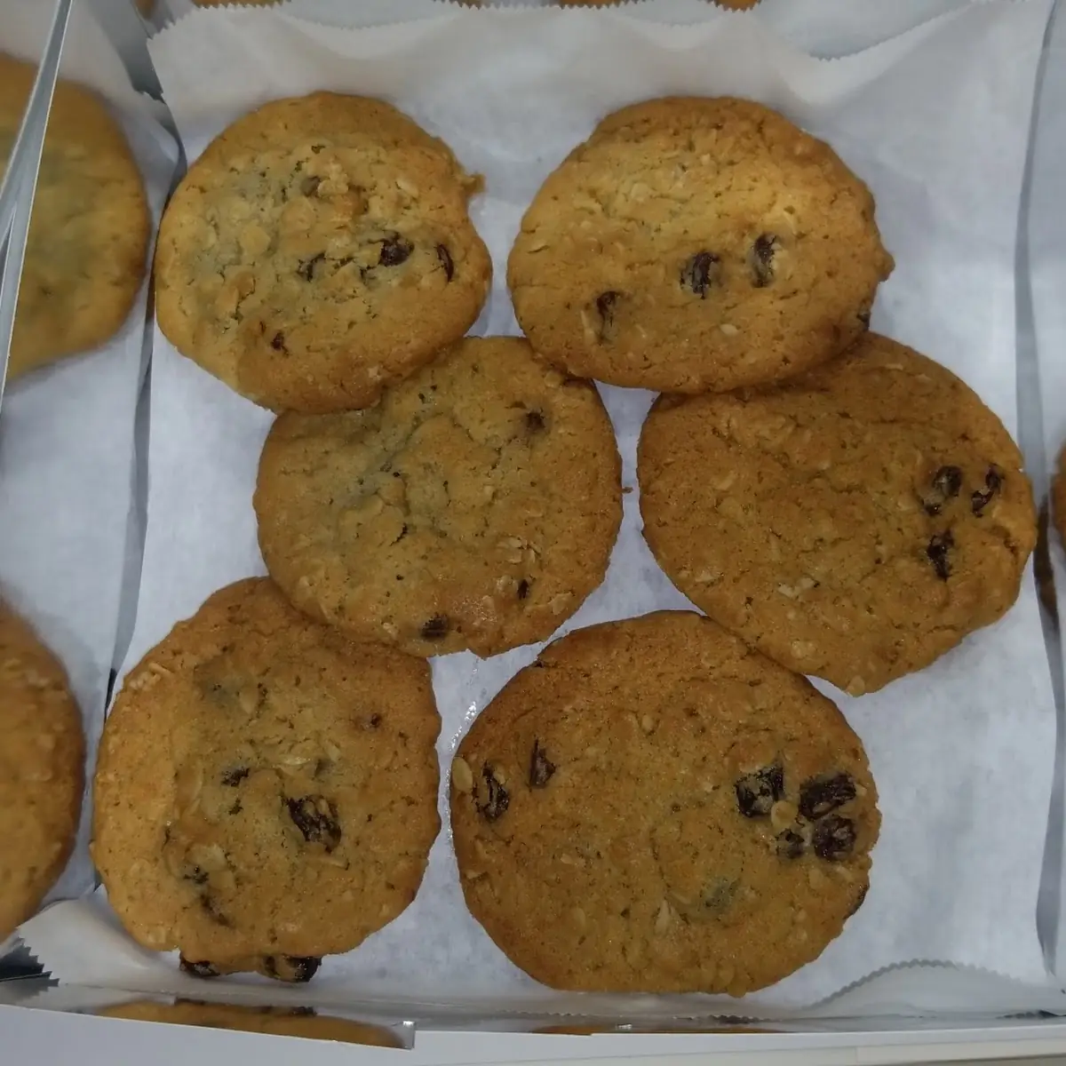 Oatmeal Raisin