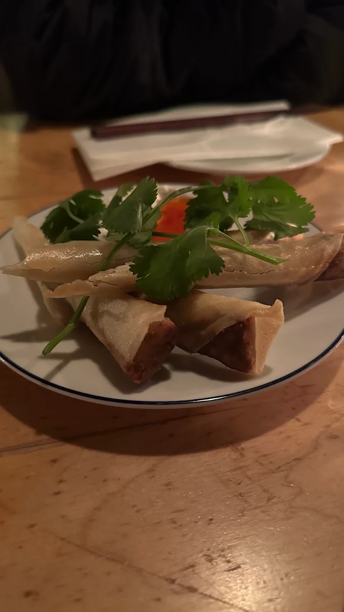 Beef Spring Roll