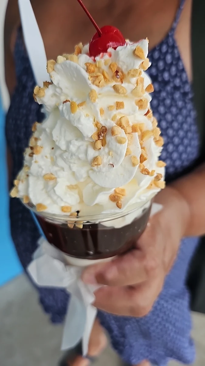Large Hot Fudge Sundae