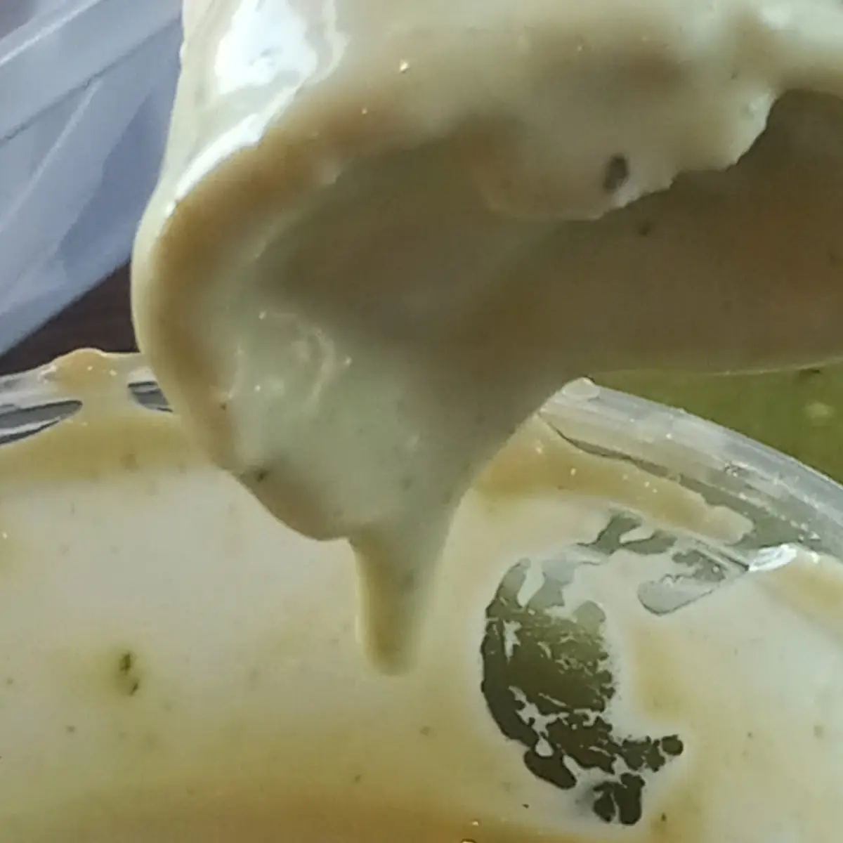 Guacamole Dip and a Tortilla