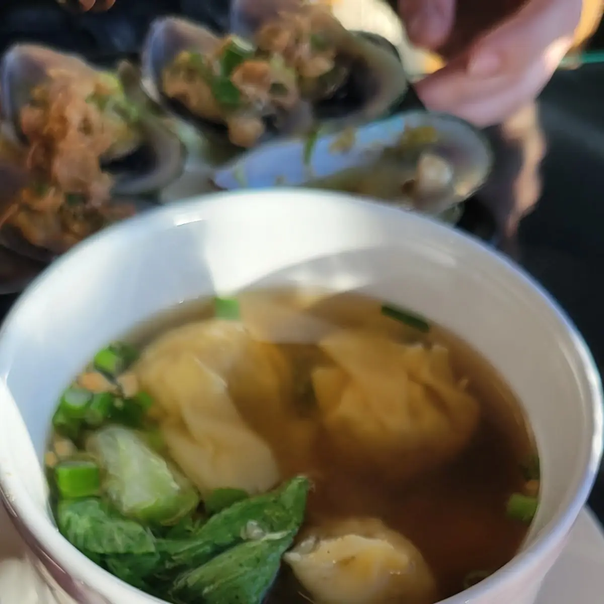 Wonton Soup
