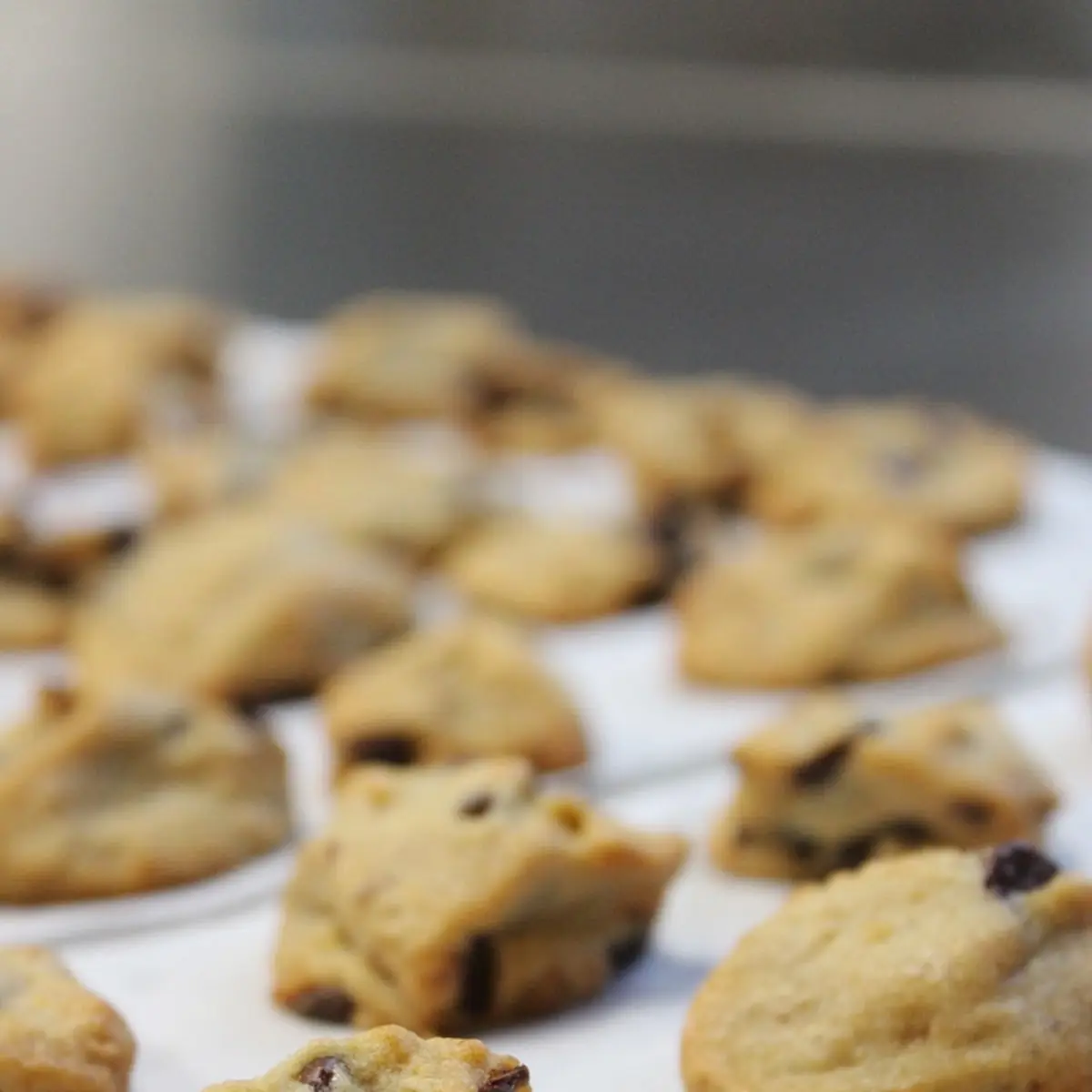 Choco Chips Cookie Dough Bites